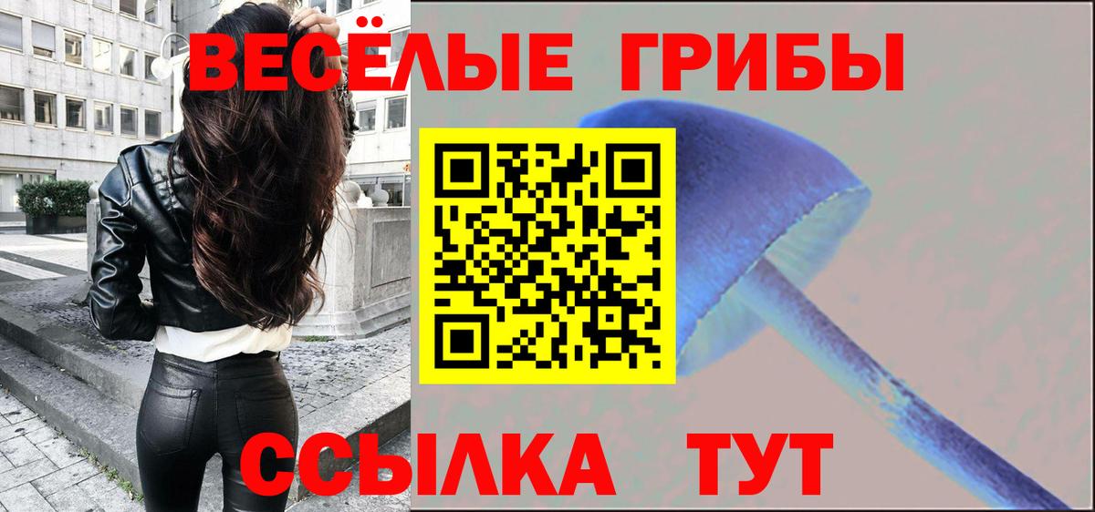 Нягань  Галлюциногенные грибы Cubensis  Вход с VPN  Псилоцибиновые грибы Magic Shrooms 